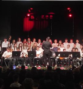 Božićni koncert učenika Područnog odjeljenja Pleternica