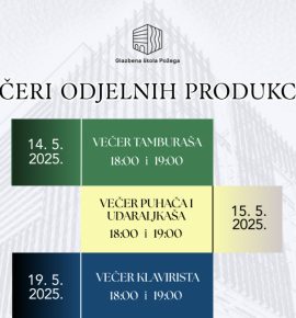 Večer gitarista i gudača