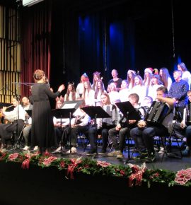 Božićni koncert učenika Područnog odjeljenja Pleternica